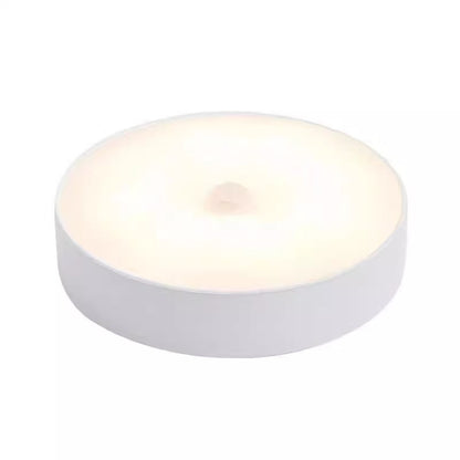 LED night light
