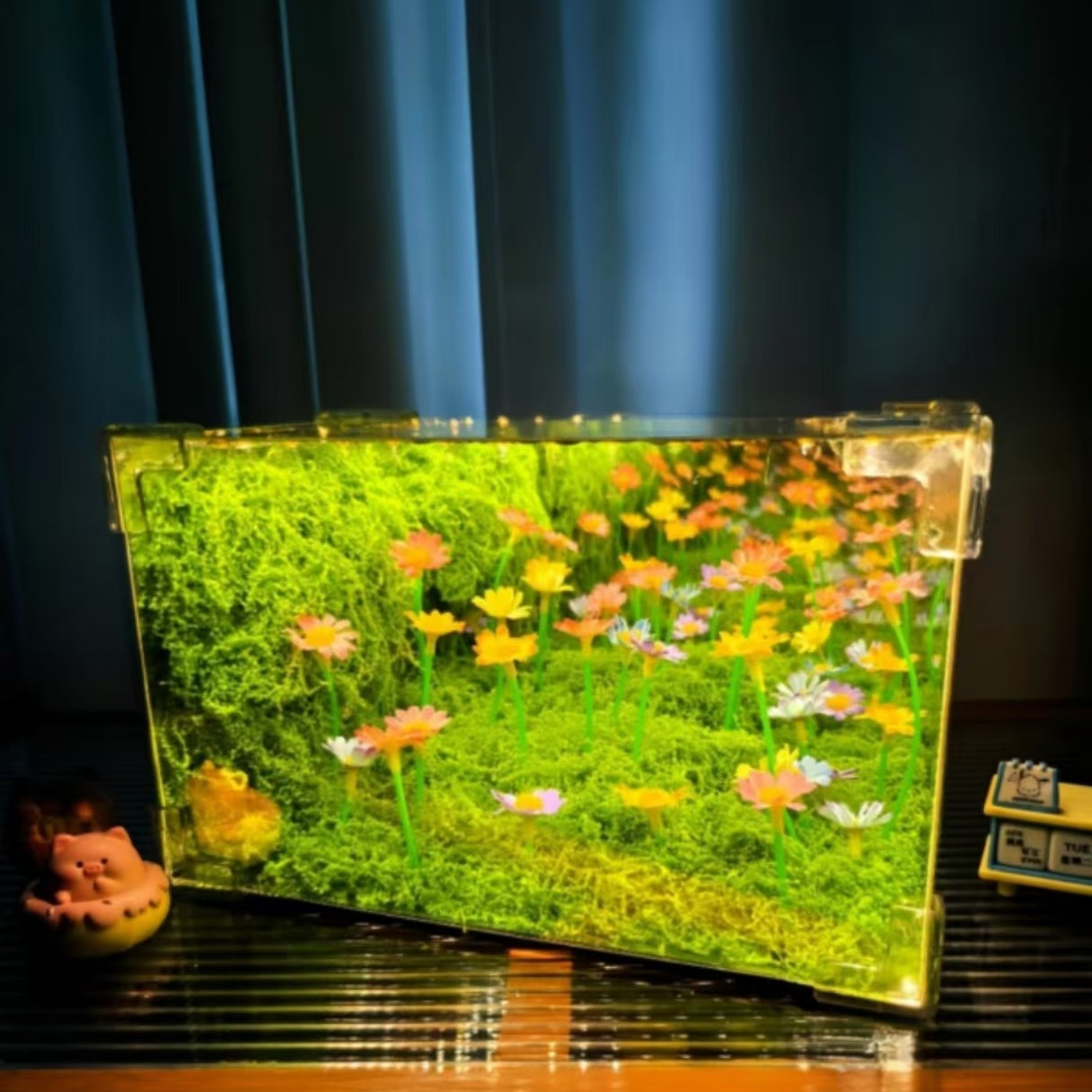 LED night light