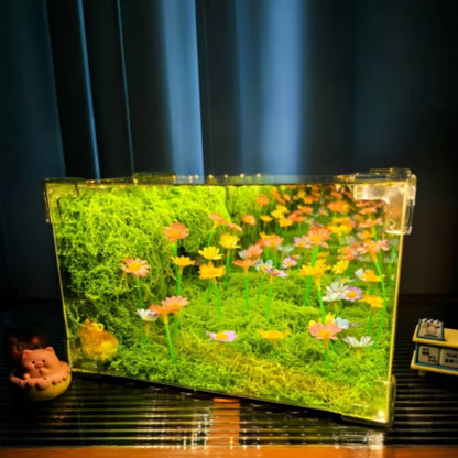 LED night light