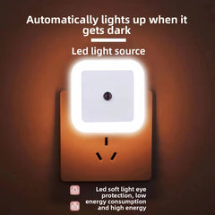 Square white shell warm light us regulations