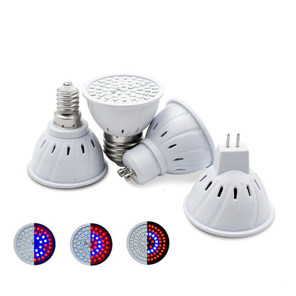 LED plant light