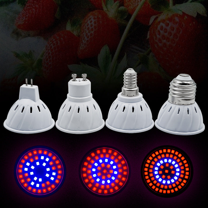 LED plant light