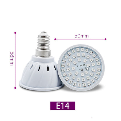 LED plant light