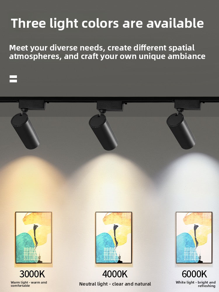 LED Track Light