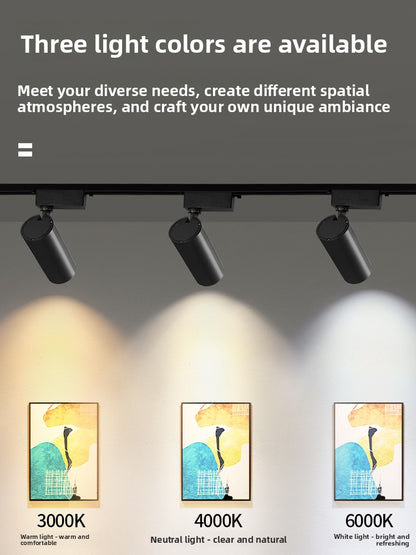 LED Track Light