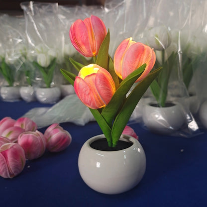 LED Tulip Night Light