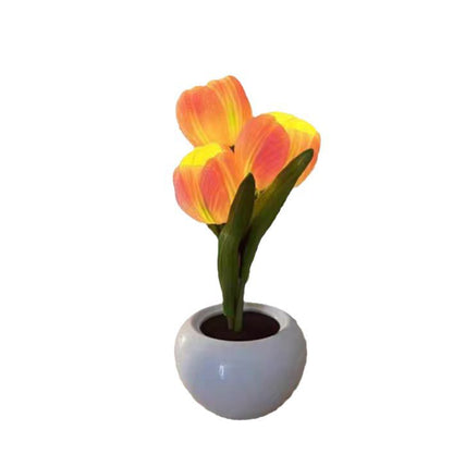 LED Tulip Night Light with Multiple Lighting Options