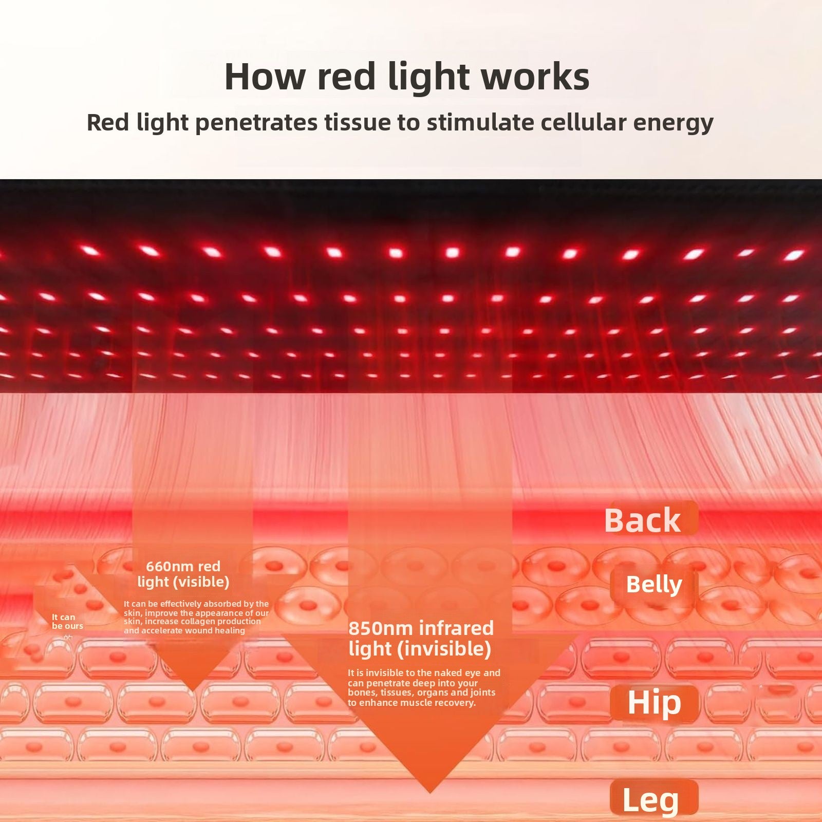 LED waist support heating red light mat