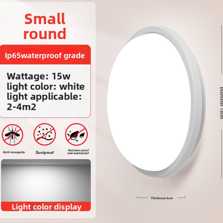 LED Wall Light