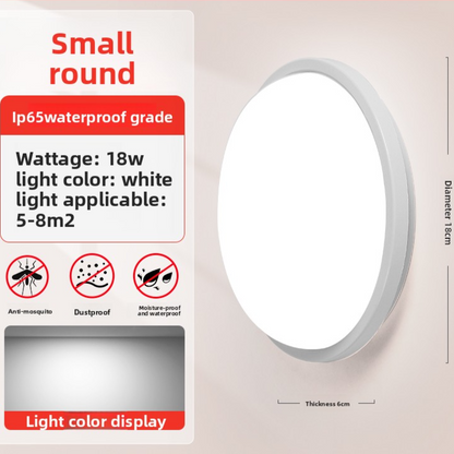 LED Wall Light
