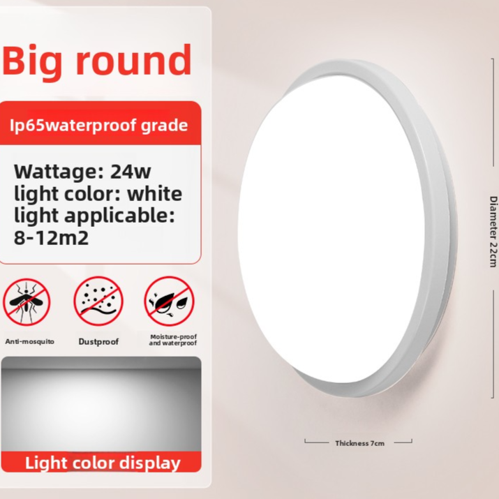 LED Wall Light