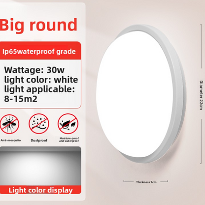 LED Wall Light