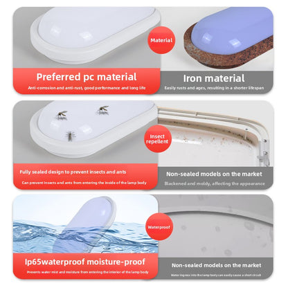 LED Wall Light