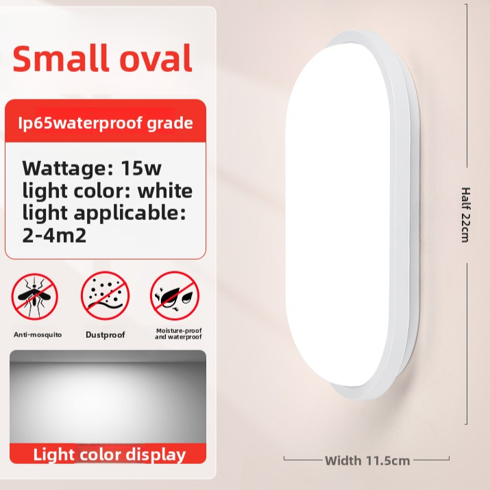 LED Wall Light