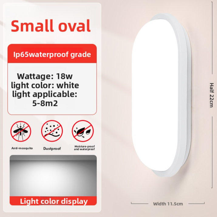 LED Wall Light