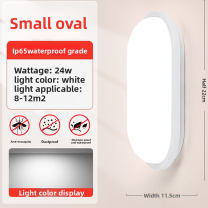 LED Wall Light