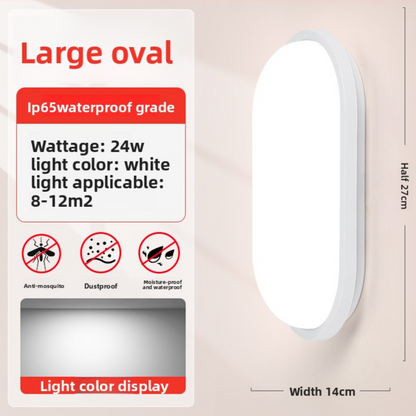 LED Wall Light
