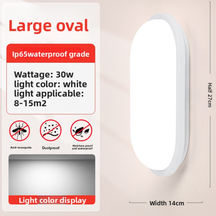 LED Wall Light
