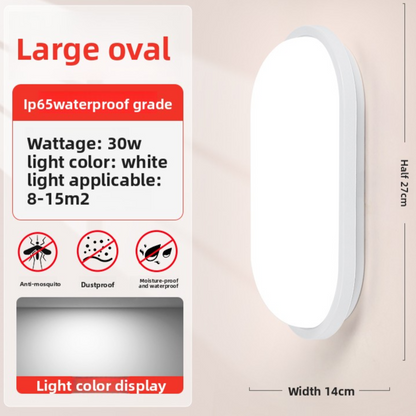 LED Wall Light