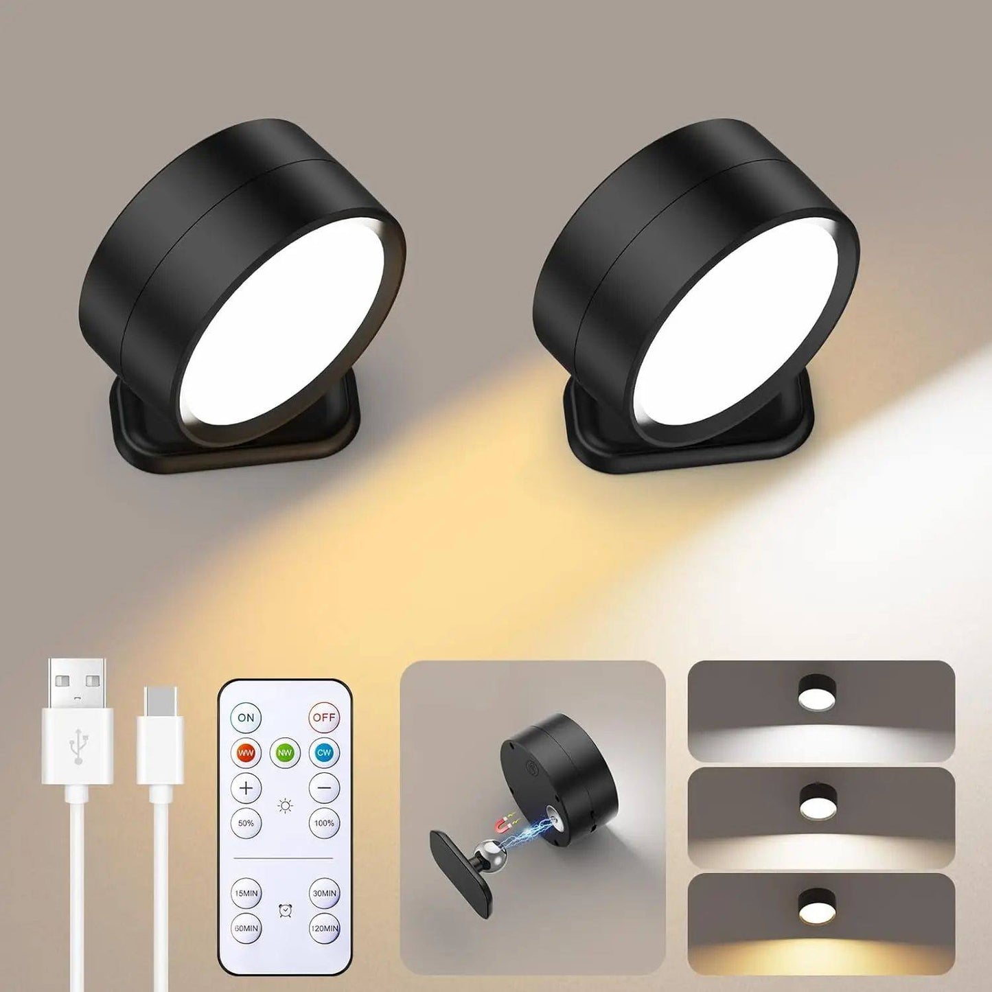 LED Wall Sconces light