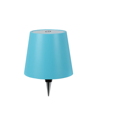 LED Wine Bottle Light with USB