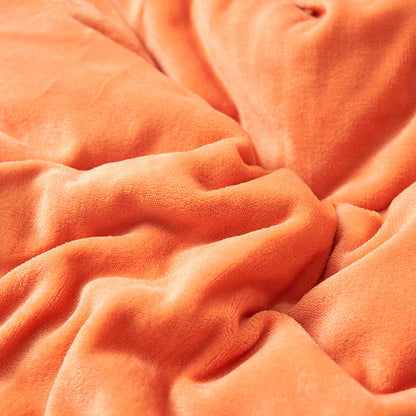 leece blanket