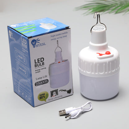 Lighting fixture