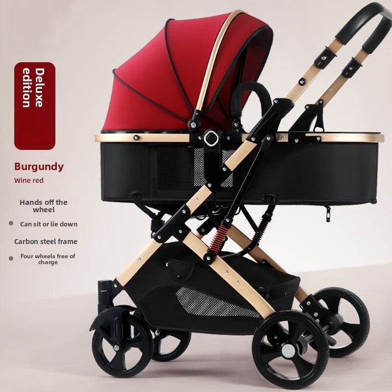 Lightweight Baby Stroller with Recline and Fold