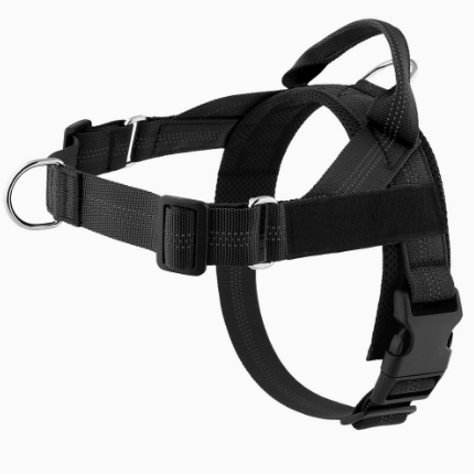 Lightweight Dog Chest Harness Leash Vest