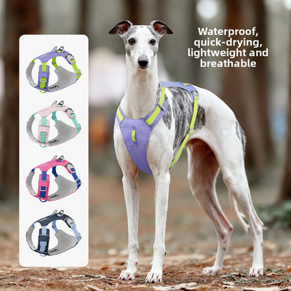Lightweight Dog Harness with Quick-Dry Feature