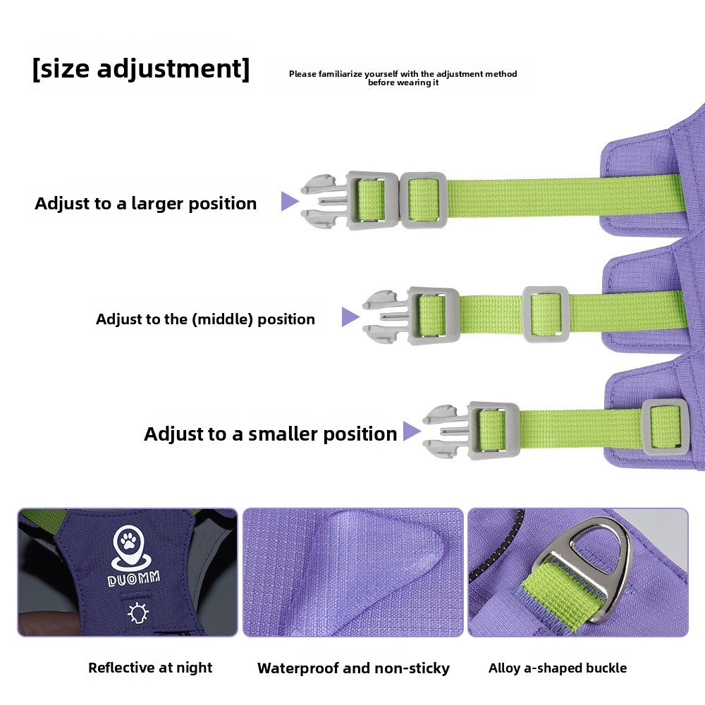 Lightweight Dog Harness with Quick-Dry Feature