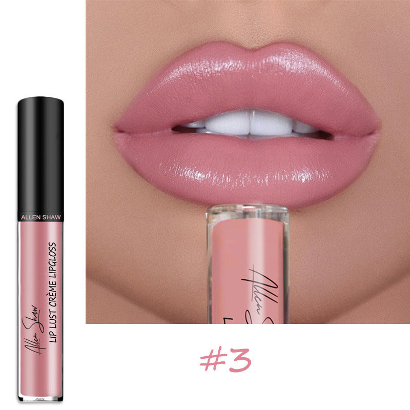 Lipstick moisturizing gloss