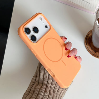 Liquid Silicone Magnetic Phone Case for Apple iPhone
