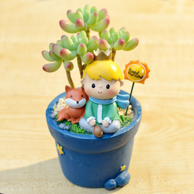 Little Prince Succulent Flower Pot with Decorative Insert