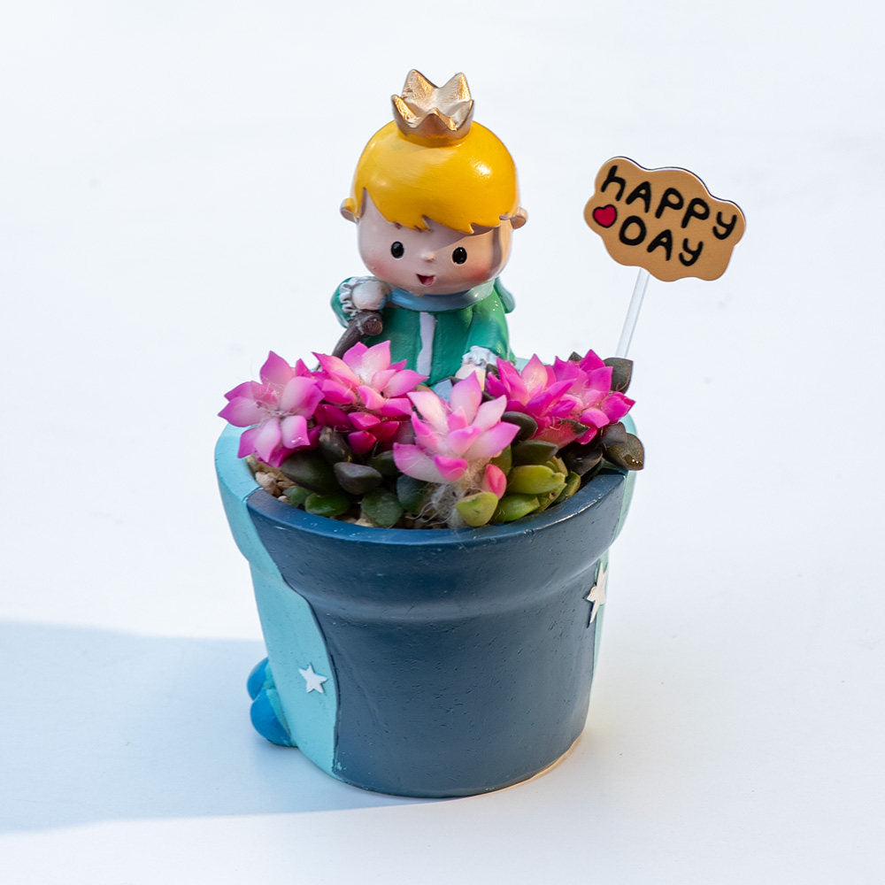 Little Prince Succulent Flower Pot with Decorative Insert