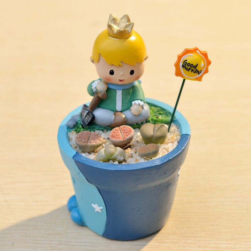Little Prince Succulent Flower Pot with Decorative Insert