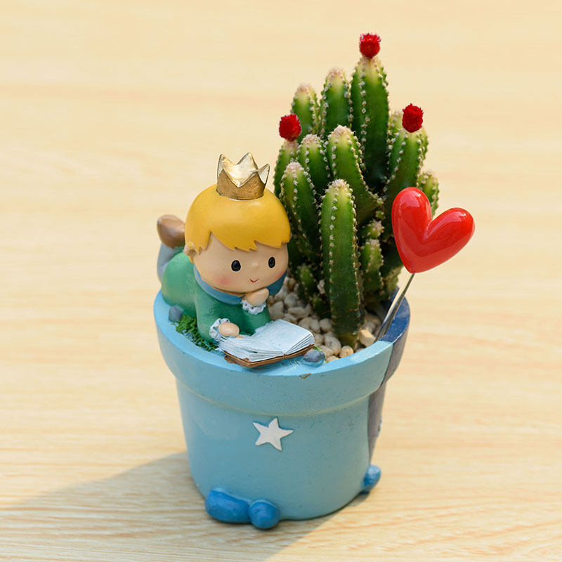 Little Prince Succulent Flower Pot with Decorative Insert