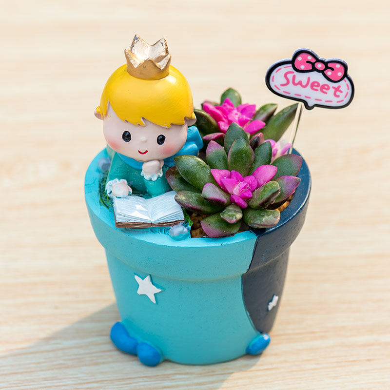 Little Prince Succulent Flower Pot with Decorative Insert