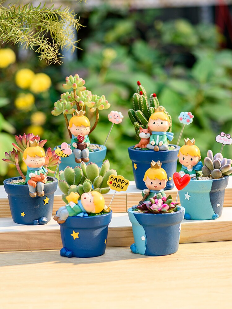 Little Prince Succulent Flower Pot with Decorative Insert