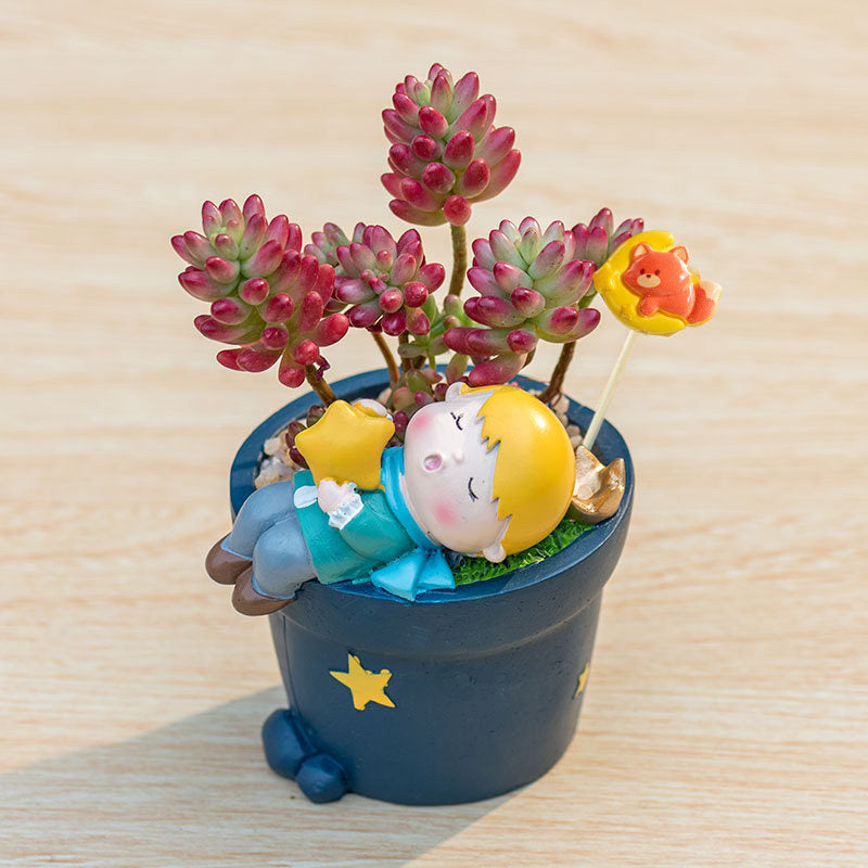 Little Prince Succulent Flower Pot with Decorative Insert