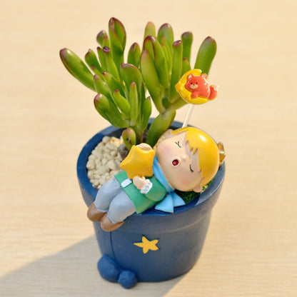 Little Prince Succulent Flower Pot with Decorative Insert