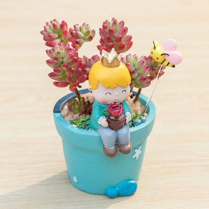 Little Prince Succulent Flower Pot with Decorative Insert