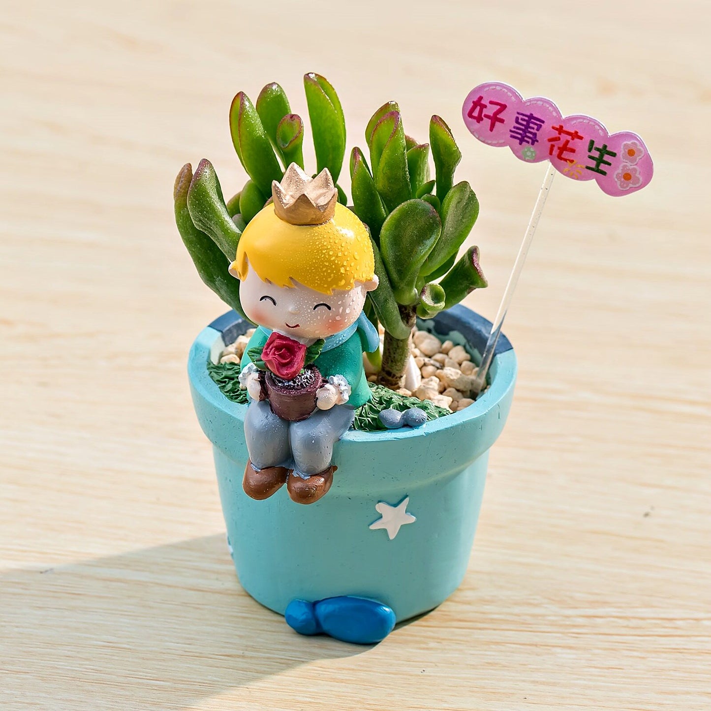 Little Prince Succulent Flower Pot with Decorative Insert