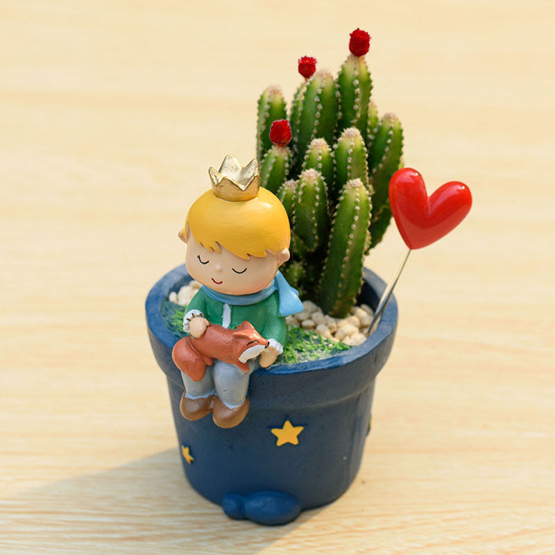 Little Prince Succulent Flower Pot with Decorative Insert