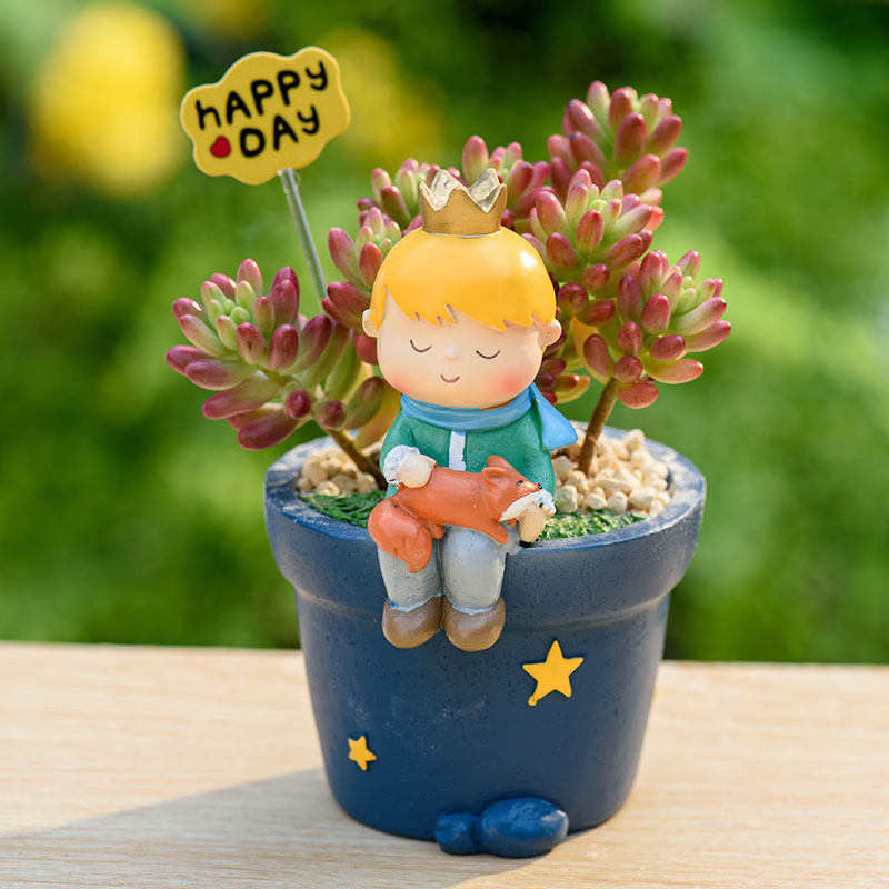 Little Prince Succulent Flower Pot with Decorative Insert