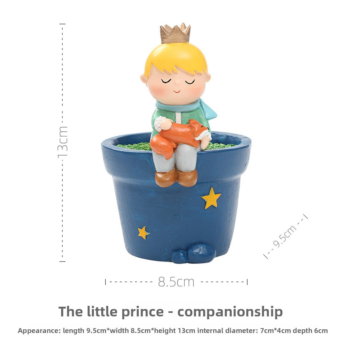 Little Prince Succulent Flower Pot with Decorative Insert