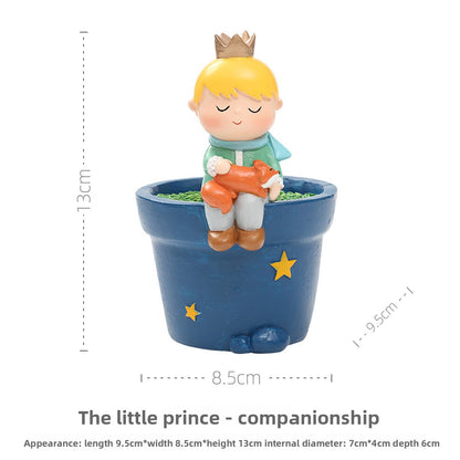 Little Prince Succulent Flower Pot with Decorative Insert