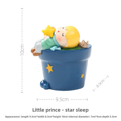Little Prince Succulent Flower Pot with Decorative Insert