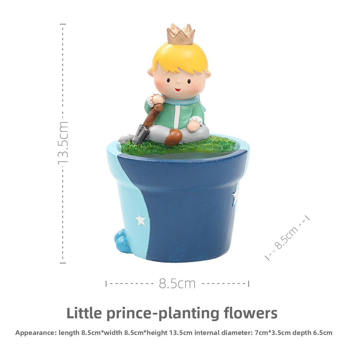 Little Prince Succulent Flower Pot with Decorative Insert