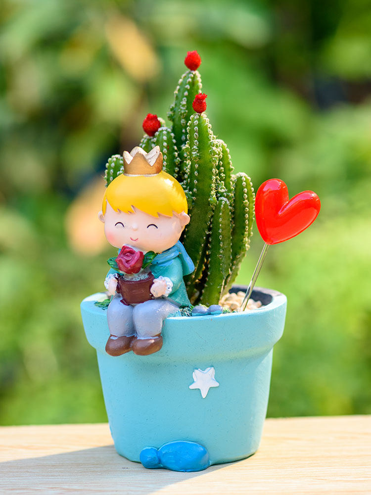 Little Prince Succulent Flower Pot with Decorative Insert